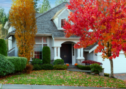 fall yard projects to tackle before the first frost foilage front yard home