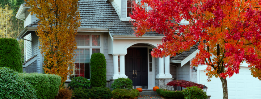 fall yard projects to tackle before the first frost foilage front yard home