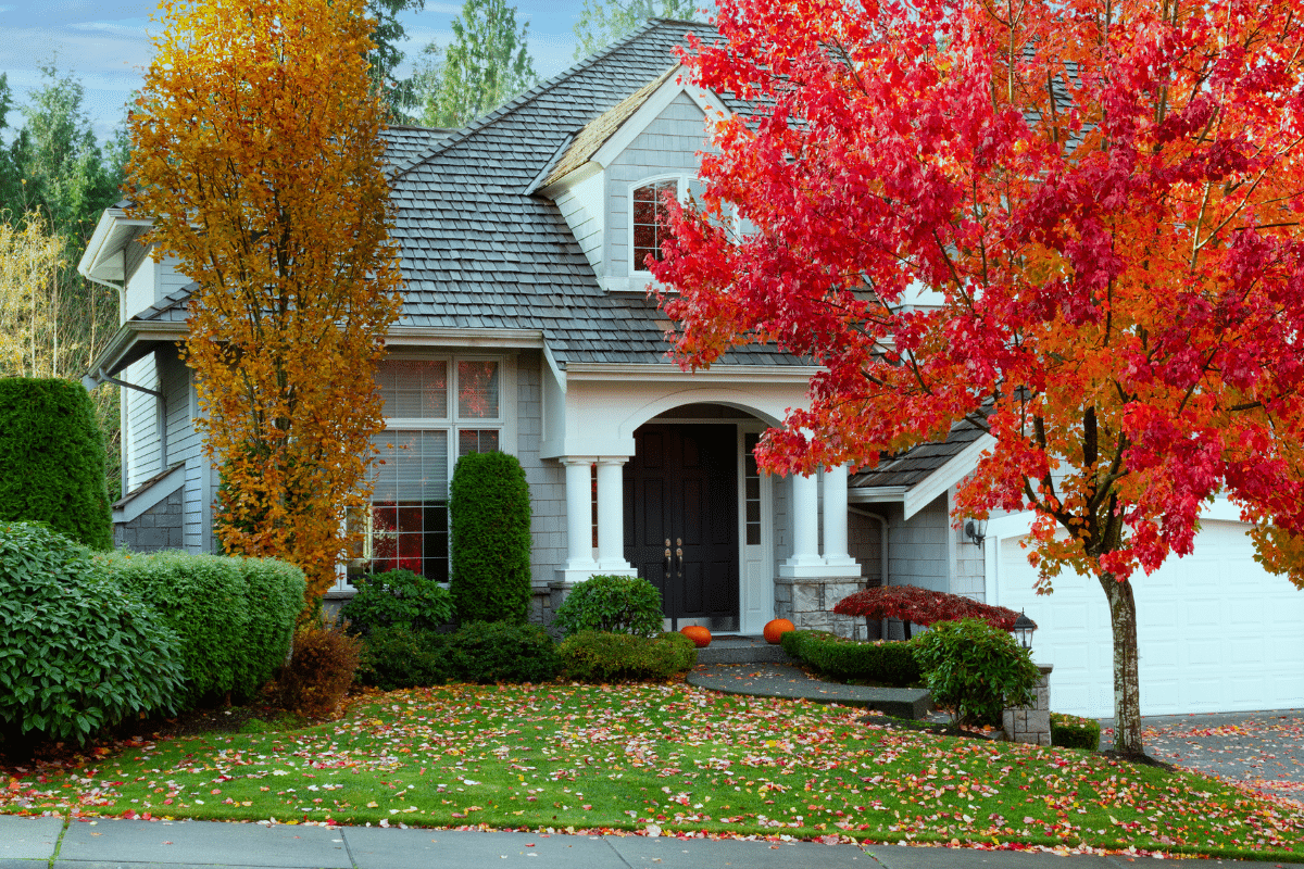 fall yard projects to tackle before the first frost foilage front yard home