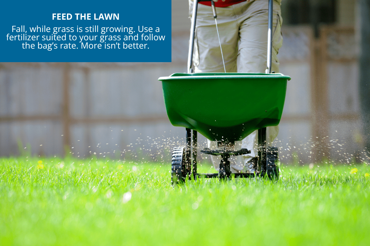 fertilize your lawn before the first freeze
