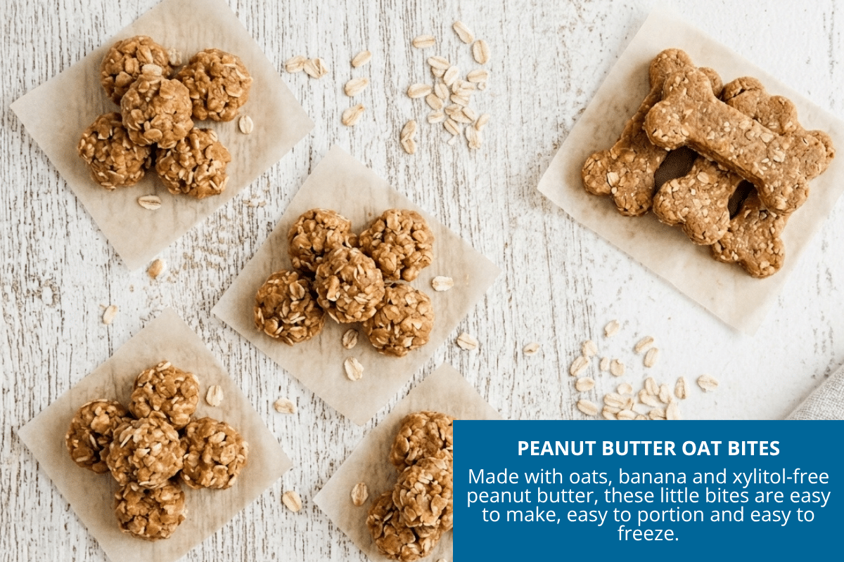 peanut butter oat bites homemade dog treat recipe.
