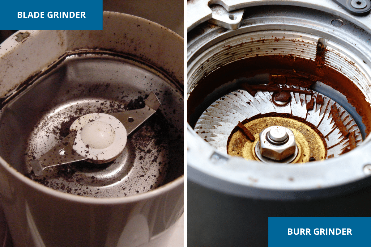 types of coffee grinder blade vs burr