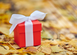 red present sitting in autumn leaves Amazon Prime Big Deal Days gifts