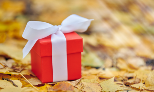 red present sitting in autumn leaves Amazon Prime Big Deal Days gifts