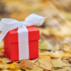 red present sitting in autumn leaves Amazon Prime Big Deal Days gifts