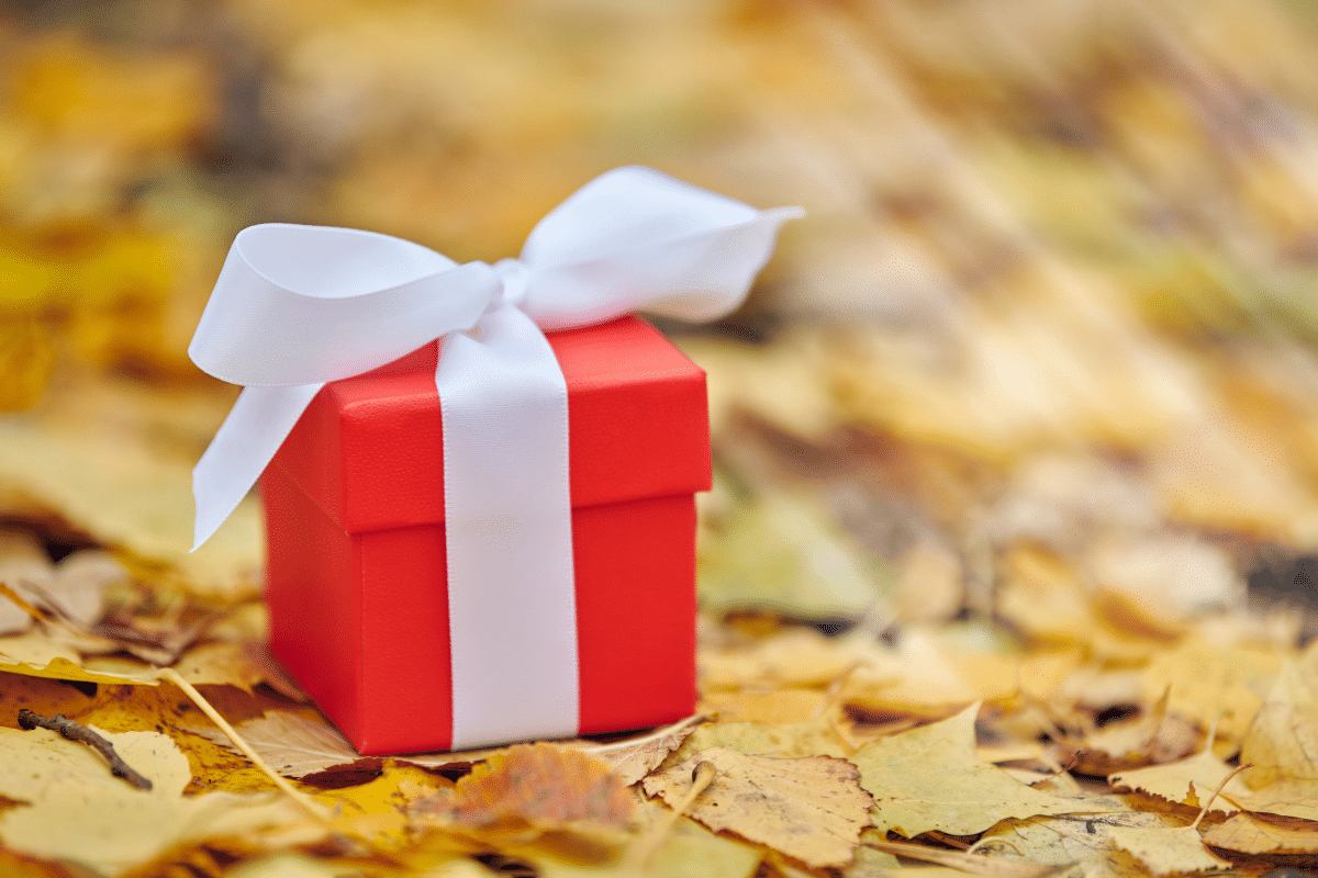 red present sitting in autumn leaves Amazon Prime Big Deal Days gifts