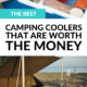 Best Inexpensive Cooler