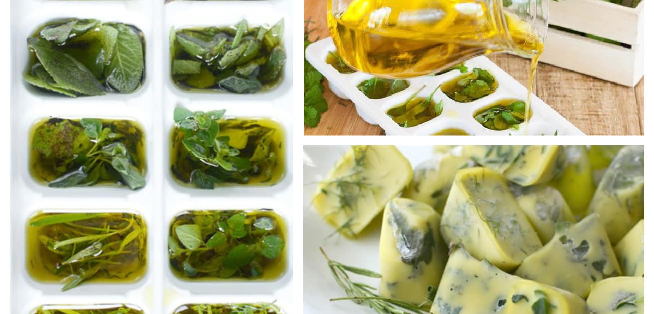 freezing herbs in olive oil