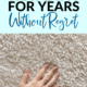 Pin - How to Buy Carpet