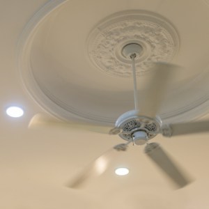 ceiling fan white hot day cool inside