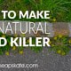How to Make All-Natural Weed Killer—Super Easy and Better Than Roundup!