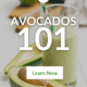 Pin Avocados 101