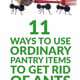11 Ways to Use Ordinary Pantry Items to Get Rid of Ants