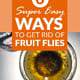 6 Super Easy Ways To Get Rid Of Fruit Flies