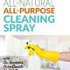Make Your Own All-Natural All-Purpose Cleaning Spray