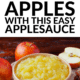 Pin - Applesauce