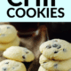 Pin - Cake Mix Chocolate Chip Cookies