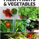 A Crash Course in How to Store Fresh Fruits and Vegetables
