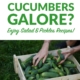 Cucumbers Galore? Enjoy Salad and Pickles Recipes!