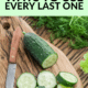 Pin - Cucumbers Galore