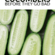 Pin - Cucumbers Galore