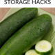 Pin - Cucumbers Galore