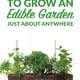 Secrets for How to Grow An Edible Garden Just About Anywhere!