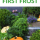 Pin - Fall Yard Tasks