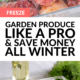 Pin - Frozen Fruits and Vegetables