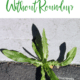 Pin - Hands Down The Best Weed Killer