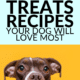 Pin - Homemade Dog Treats