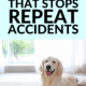 Pin - Homemade Pet Stain Remover That Stops Repeat Accidents