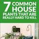 7 Common House Plants That are Really Hard to Kill