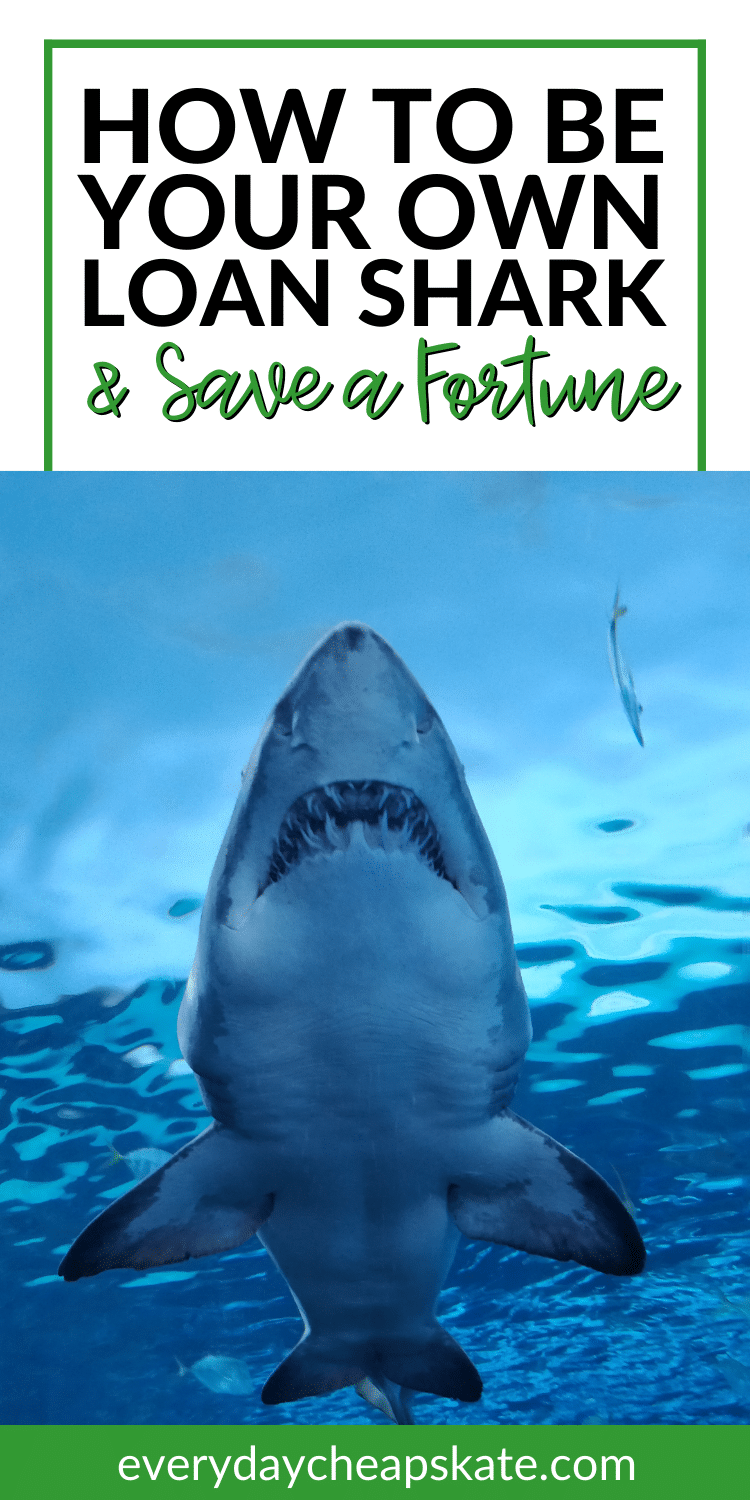 How to Be Your Own Loan Shark and Save a Fortune on Interest • Everyday ...