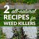 How to Make All-Natural Weed Killer—Super Easy and Better Than Roundup!