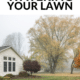 Pin - Lawn
