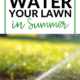 Pin - Lawn