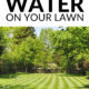 Pin - Lawn