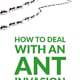 How to Deal with an Ant Invasion