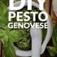 DIY Pesto Genovese