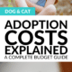 Pin - Pet Adoption