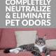 How to Completely Neutralize and Eliminate Pet Odors
