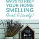 Simple Ways To Keep Your Home Smelling Fresh & Lovely