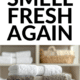 Pin - Smelly Towels