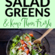Pin - The Best Way to Store Salad Greens and Keep Them Fresh