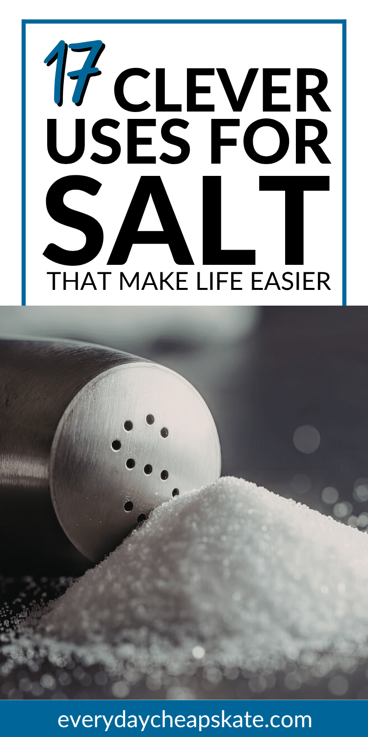 17 Simple Uses for Salt You’ll Wish You Knew Sooner • Everyday Cheapskate