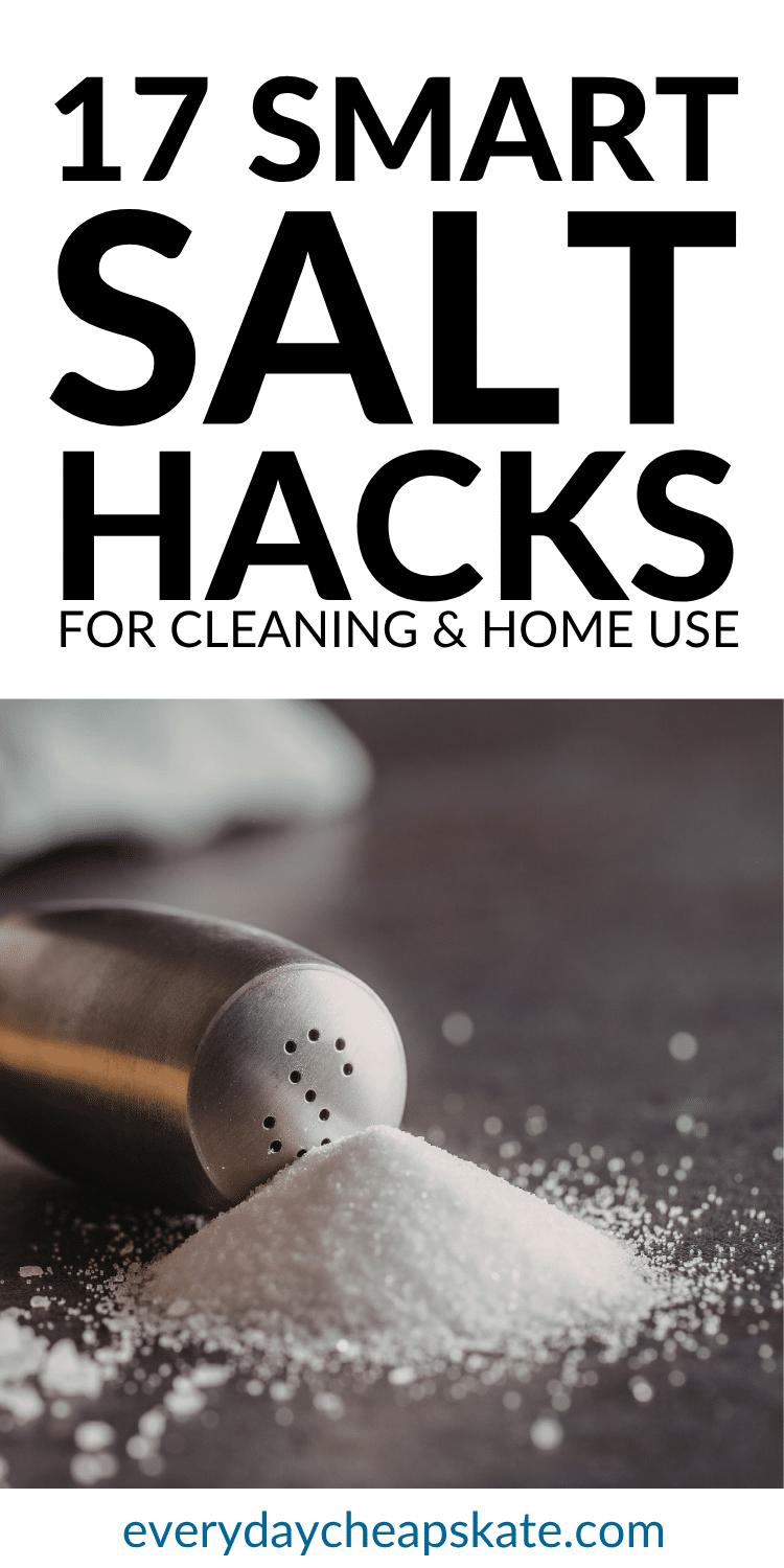 17 Simple Uses for Salt You’ll Wish You Knew Sooner • Everyday Cheapskate