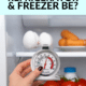 Pin - What Temperature Should a Refrigerator and Freezer Be?