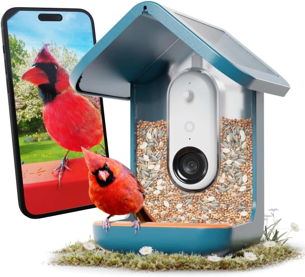 Product Image - Birdbuddy PRO Solar Smart Bird Feeder with Camera