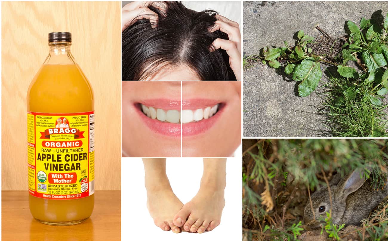 Collage of the ways to use apple cider vinegar